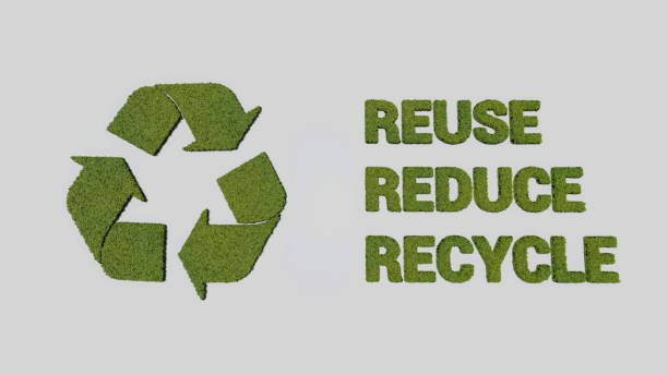 istock Recycle, reduce, reuse logo made of leaves and trees around them 1263436719