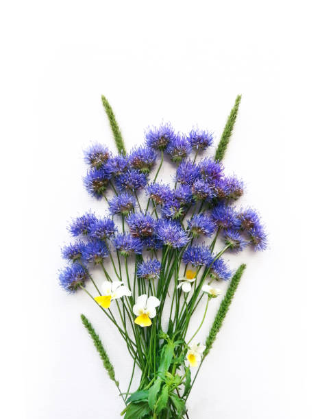 istock Bouquet of Blue Flowers on white background 1263438683