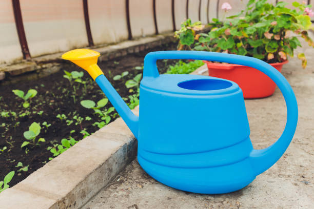 istock Water can and straw hat laying in grass. 1263443840