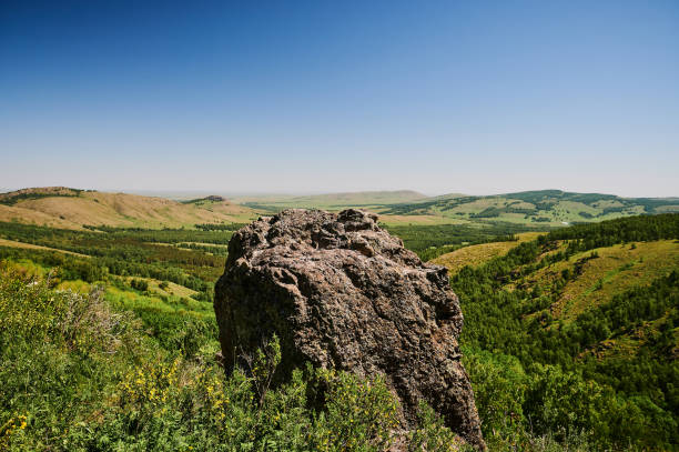 istock View on crooked tree on stony slope, mountain ravine beneath, sun behind tree. 1263447188