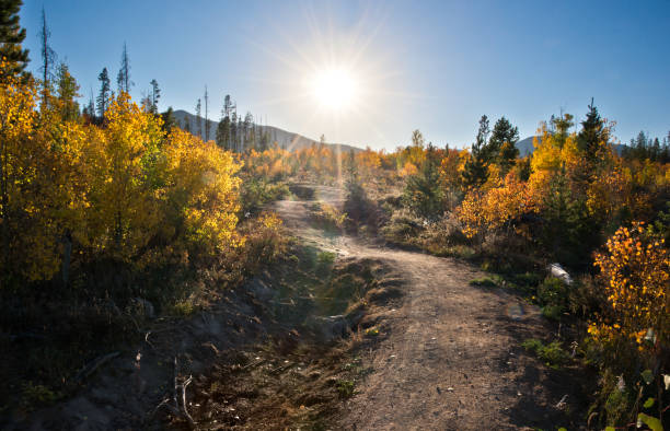 Autumn in the Mountains Hiking trail in the fall within the Rocky Mountains footpath stock pictures, royalty-free photos & images