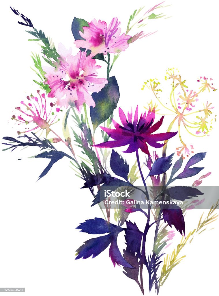 Ilustración de Pintura Floral De Acuarela Delicadas Flores De Jardín Aisladas En Blanco Hermoso Dibujo Botánico Para Cartel Tarjeta Banner O Impresiones Ramo De Flores y más Vectores Libres de Derechos de Ilustración de Pintura Floral De Acuarela Delicadas Flores De Jardín Aisladas En Blanco Hermoso Dibujo Botánico Para Cartel Tarjeta Banner O Impresiones Ramo De Flores y más Vectores Libres de Derechos de