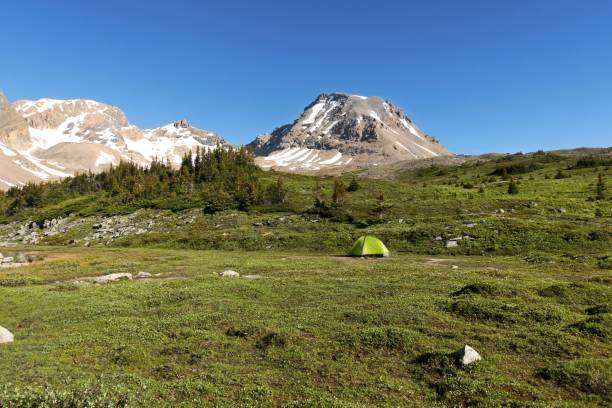 istock White Goat Wilderness Area Primitive Backcountry Camping, Alberta Canada 1263451590