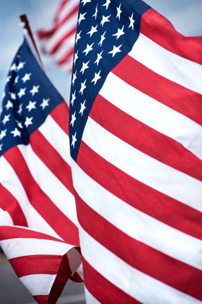 istock Multiple American flags blowing in wind outdoors 1263451680