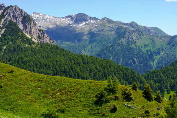 istock Mountain landscape along the road to Crocedomini pass 1263463445