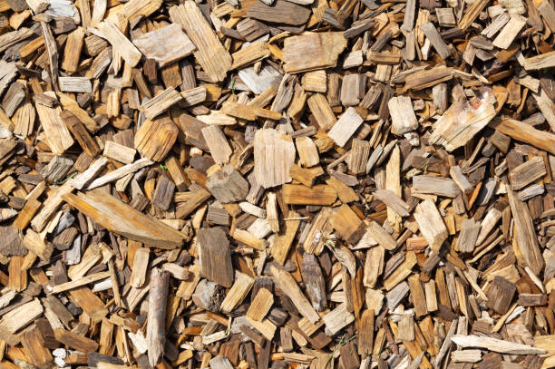 istock Close view of large wood chips 1263466990