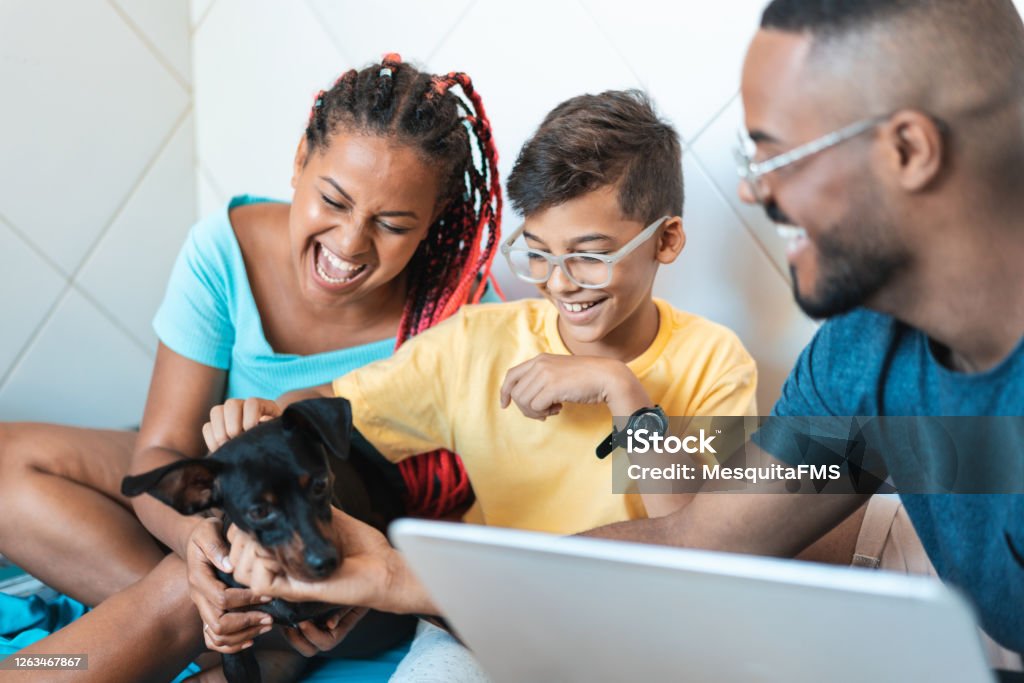 Family having fun with their pet Afro family, Child, Dog, Happy, House Family Stock Photo