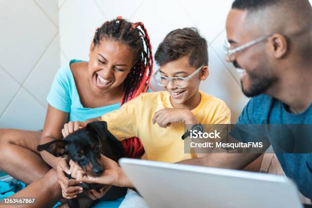 Family Having Fun With Their Pet Stock Photo - Download Image Now - Family, Multiracial Group, Happiness