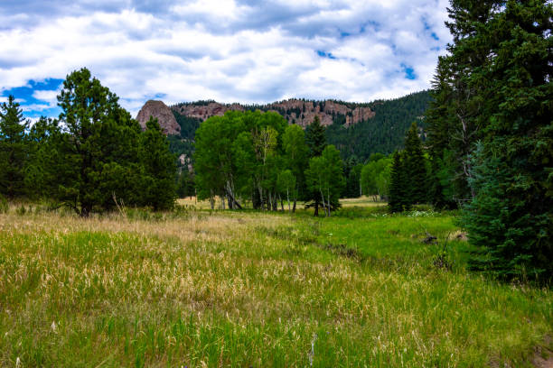 istock Staunton State Park Colorado 1263468947