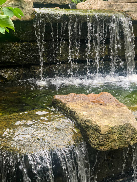 istock Small waterfall at botanical garden 1263474135
