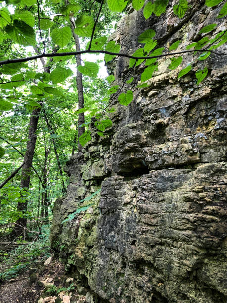 istock Mountain bluff views in Wisconsin forest 1263474197