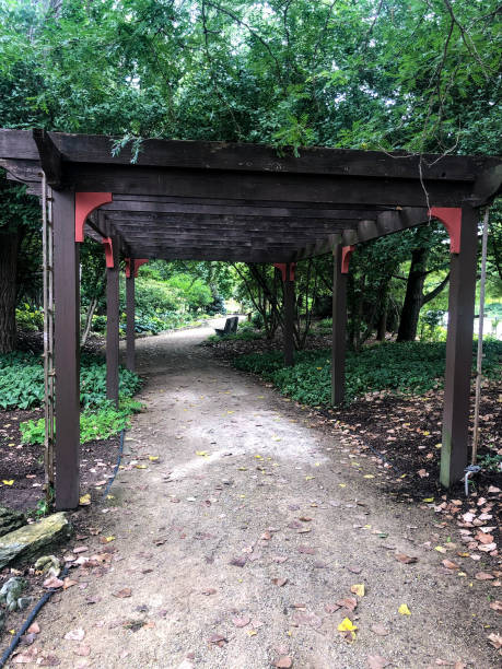 istock Garden wood pergoda 1263474698