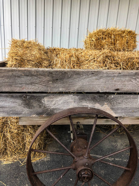 istock Straw bales on old farm wagon 1263475561