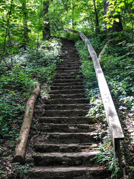 istock Wooden steps up hill at county park 1263475637
