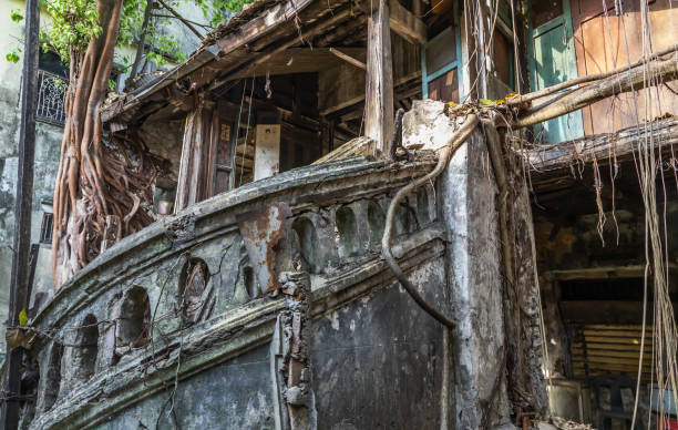 os restos de uma antiga casa abandonada abandonada com antigas escadas de pedra e raízes de árvores. - improvement ancient antique old fashioned - fotografias e filmes do acervo