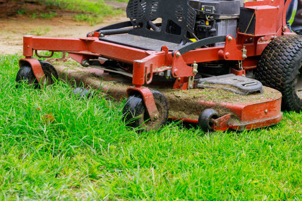 istock Man worker cutting grass in summer with a lawn mower 1263481251
