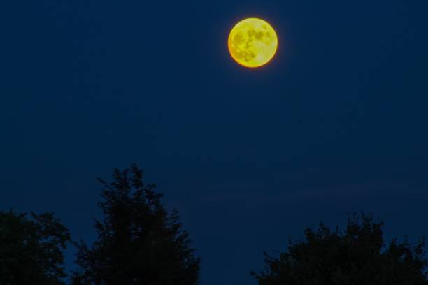 istock Yellow full moon rising in the evening 1263490781