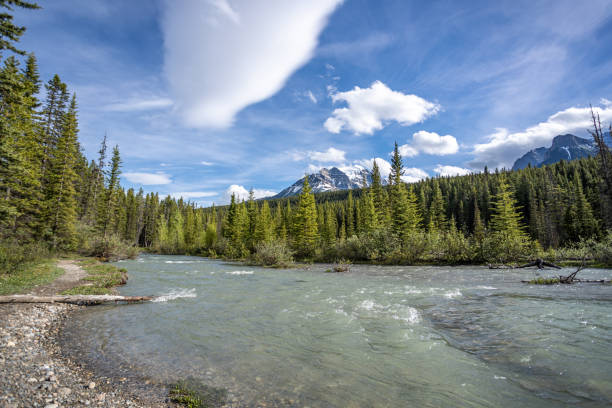 Bow River in Lake Louise Campground in Summer, Alberta, Canada