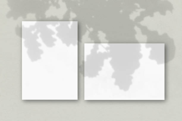 istock 2 sheets of white textured paper against a grey wall. Mockup overlay with the plant shadows. Natural light casts shadows from the oak leaves. Flat lay, top view. Horizontal orientation 1263497627