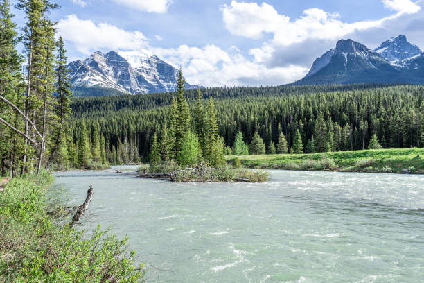 Bow River in Lake Louise Campground in Summer, Alberta, Canada