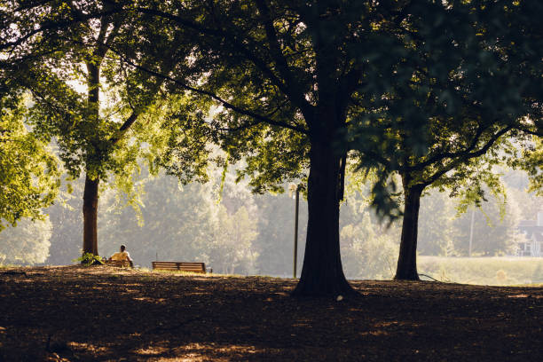 istock man resting on park bench in the morning 1263503978