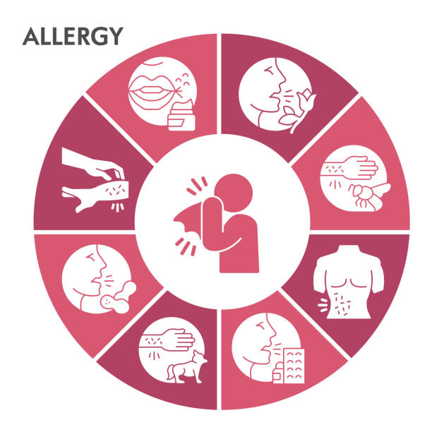 ilustrações de stock, clip art, desenhos animados e ícones de modern allergy infographic design template with icons. allergen infographic visualization on white background. allergies causes template for presentation. creative vector illustration for infographic. - gluten allergy