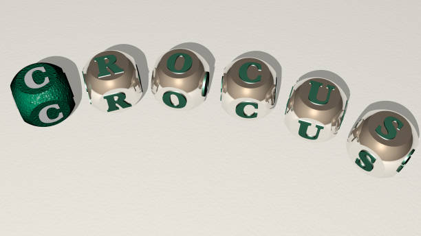 istock combination of crocus built by cubic letters from the top perspective, excellent for the concept presentation. background and spring. 3D illustration 1263511297