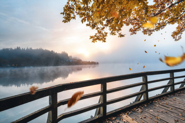 istock Autumn Path By The Lake 1263515349