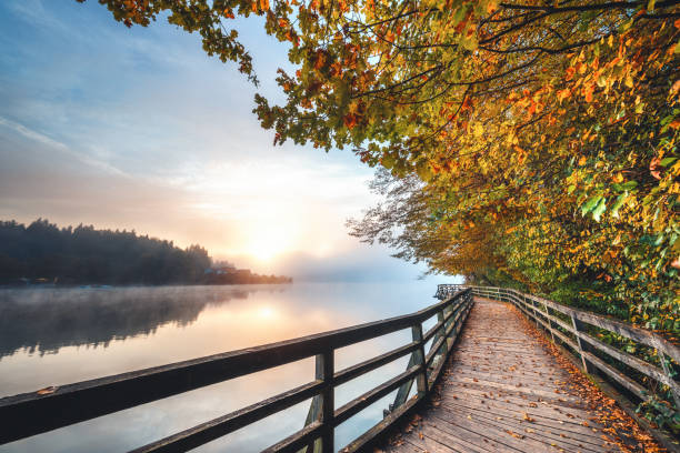 istock Wooden Path By The Lake 1263515357