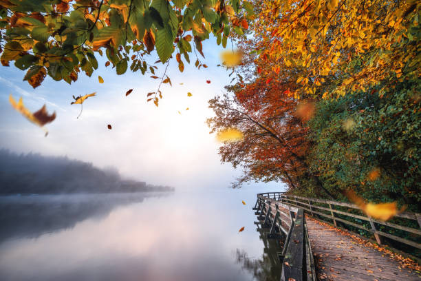 istock Idyllic Autumn Scene By The Lake 1263515362