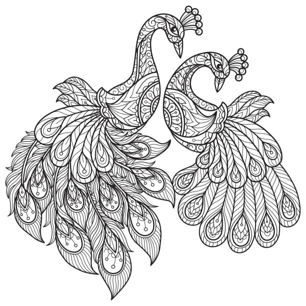 ilustraciones, imágenes clip art, dibujos animados e iconos de stock de doodle amantes del pavo real enreda página para colorear para adultos, estilo de ilustración. - peacock feather outline black and white