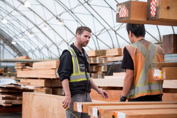 istock Men working in a large industrial timber factory 1263518156