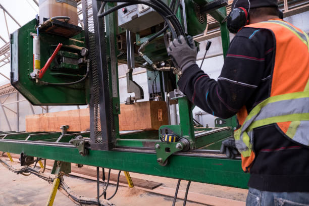 istock Industrial timber manufacturing facility 1263518185