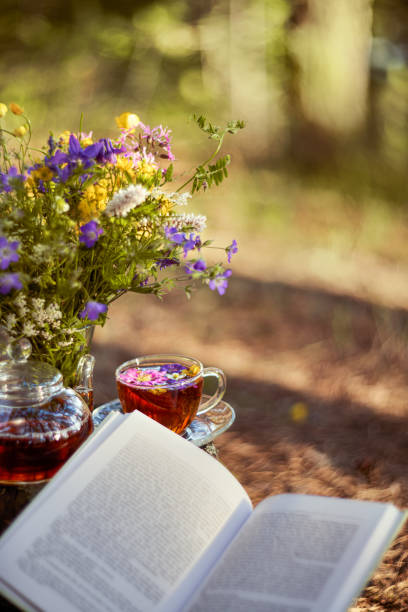 istock Cup and teapot in nature in the forest 1263518973