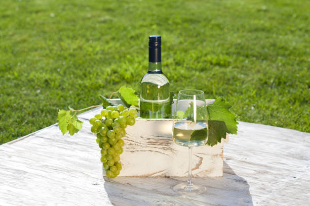 istock White wine on wooden white vintage table 1263522857