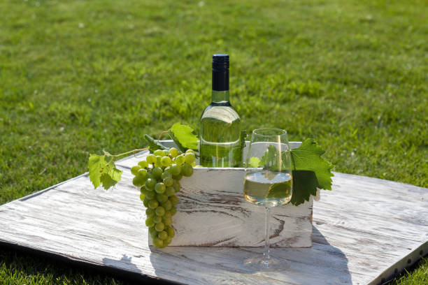 istock White wine on wooden white vintage table 1263522927