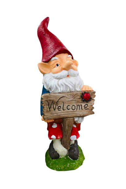 istock Funny garden dwarf on white background. Garden Gnomes isolated on white background 1263523640