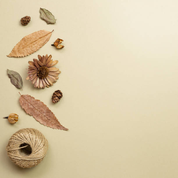istock Autumn dry leaves on khaki brown background. flat lay, top view, copy space 1263527524