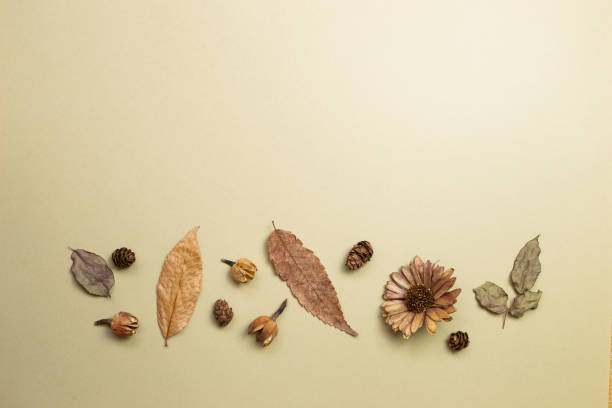istock Autumn dry leaves on khaki brown background. flat lay, top view, copy space 1263527539