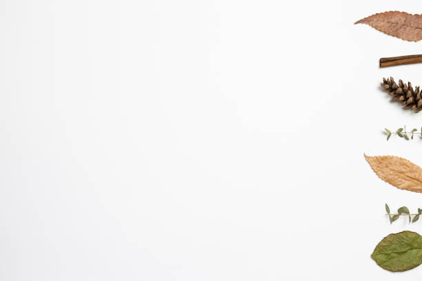 istock Autumn dry leaves on white background. flat lay, top view, copy space 1263527543