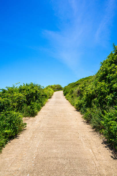 istock Footpath in forest park at Hong Kong 1263533483