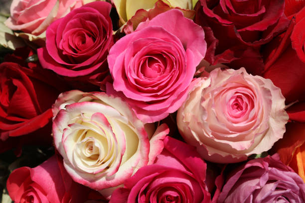 istock A Bouquet of wonderful different Roses 1263536849