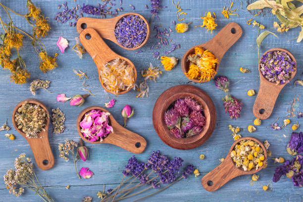 istock Dried flowers in wooden spoons 1263545269