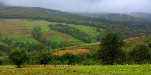istock rural area in mountains 1263546254
