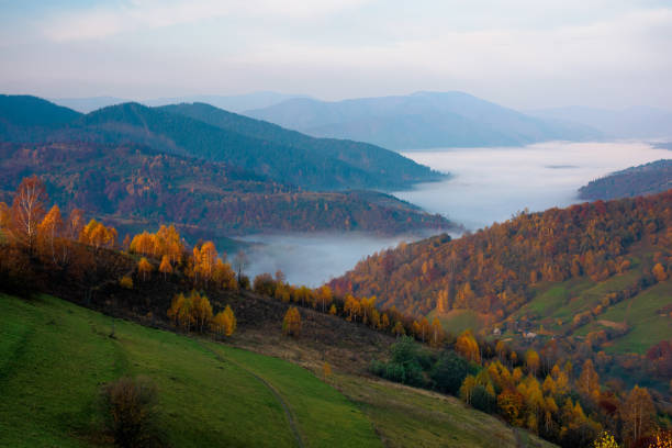 istock misty autumn morning in carpathian mountains 1263547045