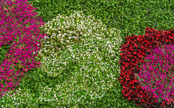 istock Flowers and plants wall background material 1263547155