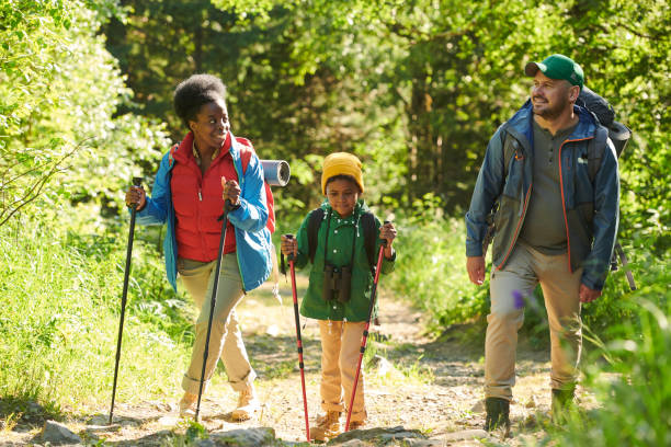 istock Family walking in the forest 1263547407