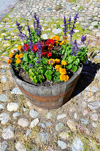 colorful flowers in a wooden flowerpot standing on pavement in Orebro Sweden 1 August 2020