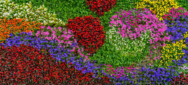 istock Flowers and plants wall background material 1263549008