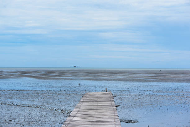 istock Wooden walkway on the sea shore 1263550725